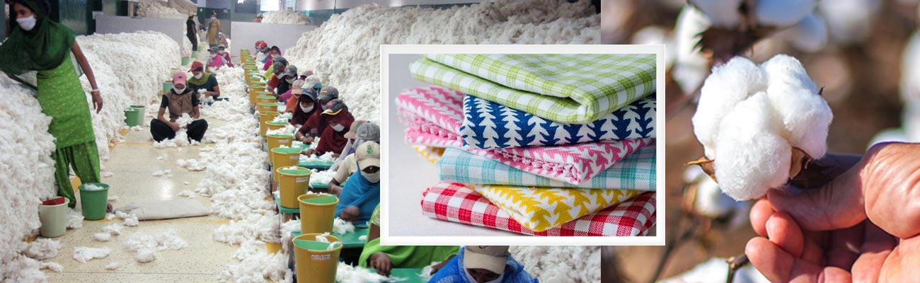 Indian Cotton Uses and Benefits of Cotton